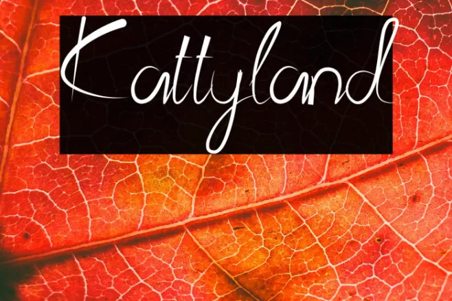 Kattyland Example 3