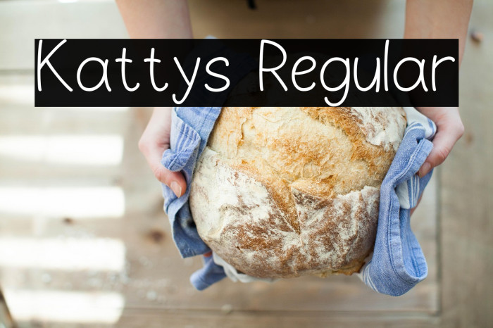 Kattys Regular Example 2
