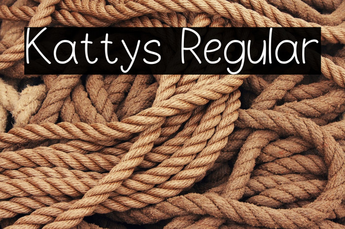 Kattys Regular Example 3