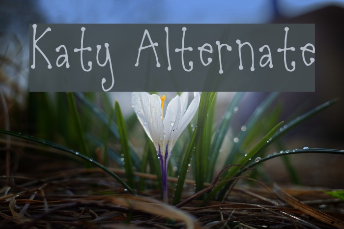Katy Alternate Font examples