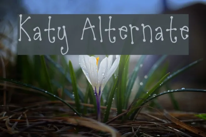 Katy Alternate Example 2