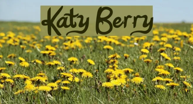Katy Berry Example 2