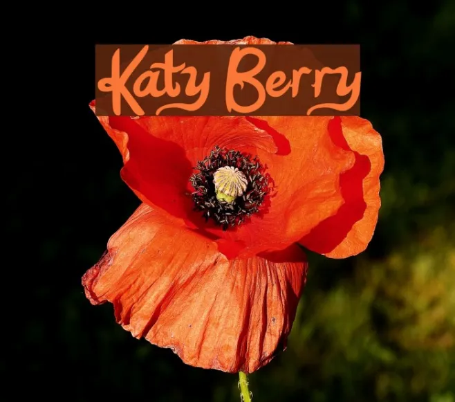 Katy Berry Example 3
