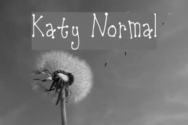 Katy Normal Font examples