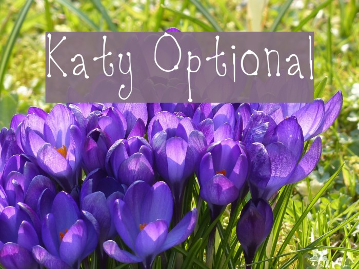 Katy Optional Font examples
