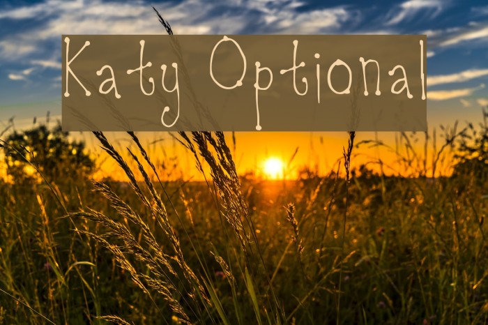 Katy Optional Font examples