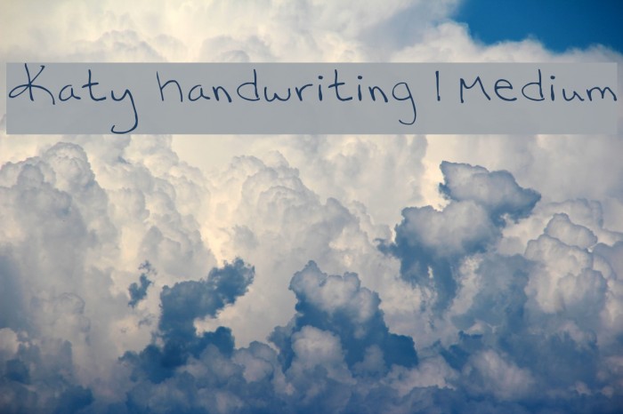 Katy handwriting 1 Medium Font examples