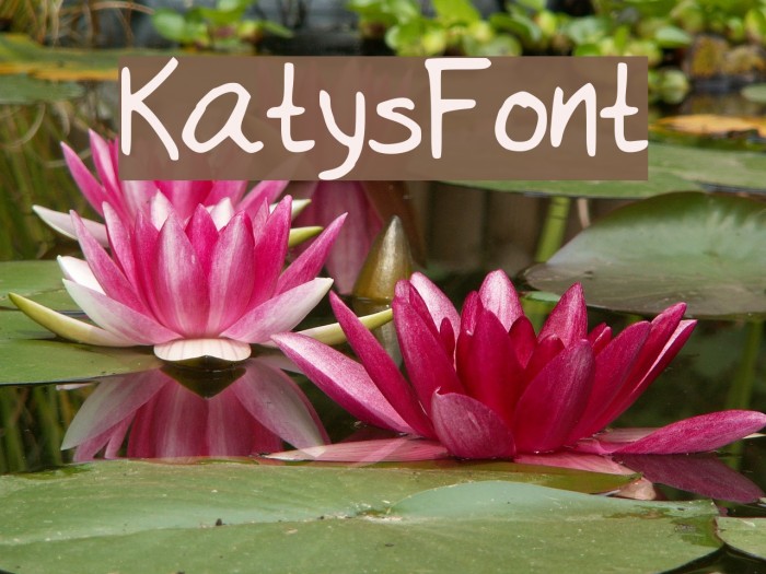 KatysFont Fonte examples