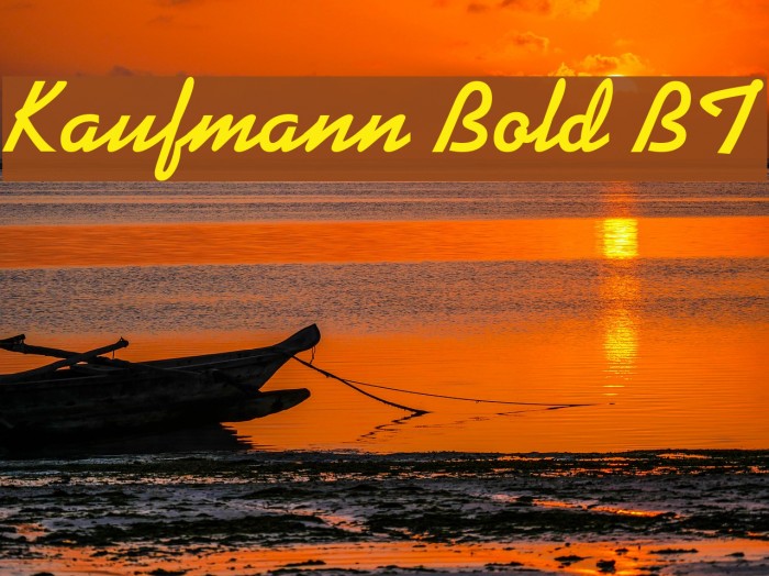 Kaufmann Bold BT Example 1