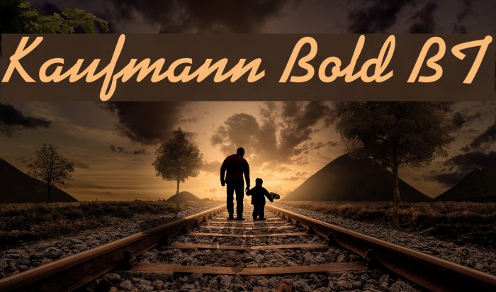 Kaufmann Bold BT Example 2