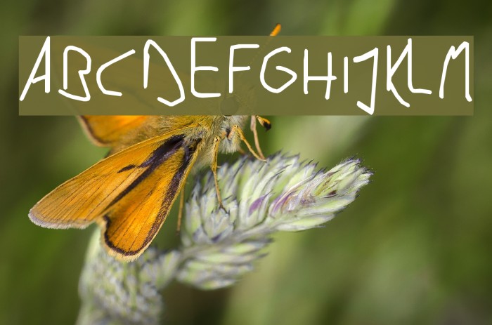 Kaunitz Font examples