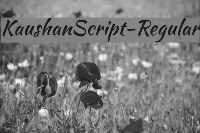 KaushanScript-Regular Font examples