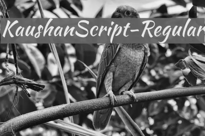 KaushanScript-Regular Font examples