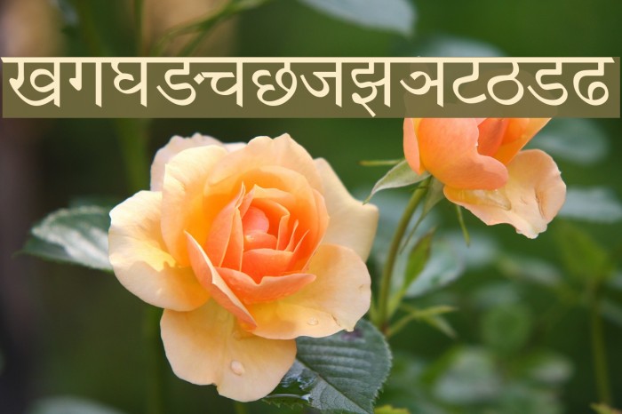 Kautilya Font examples