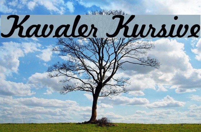 Kavaler Kursive Example 1