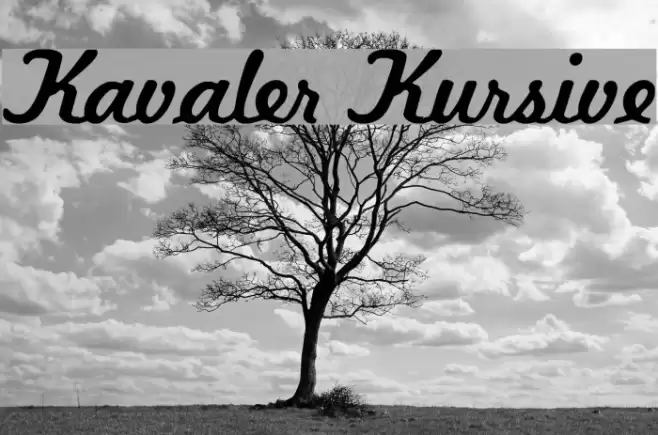 Kavaler Kursive Font examples