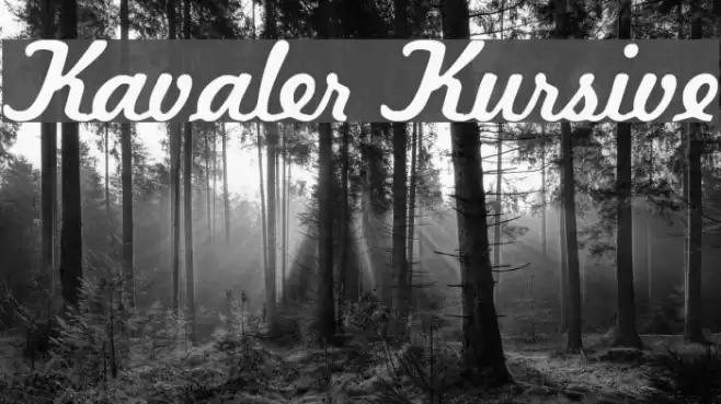 Kavaler Kursive Font examples