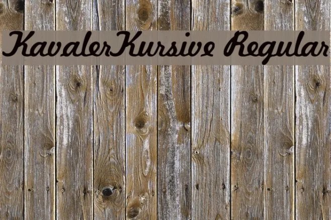 KavalerKursive Regular Example 3