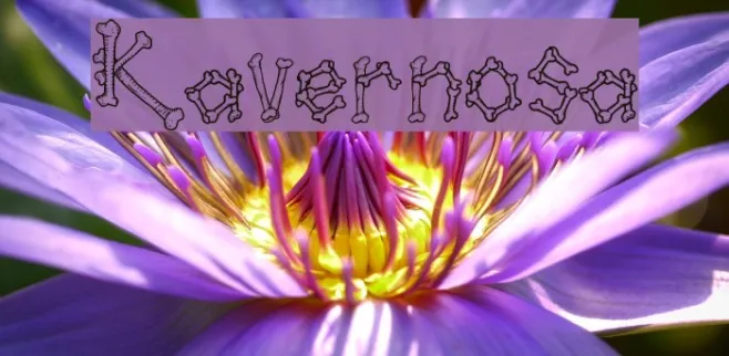 Kavernosa Example 3