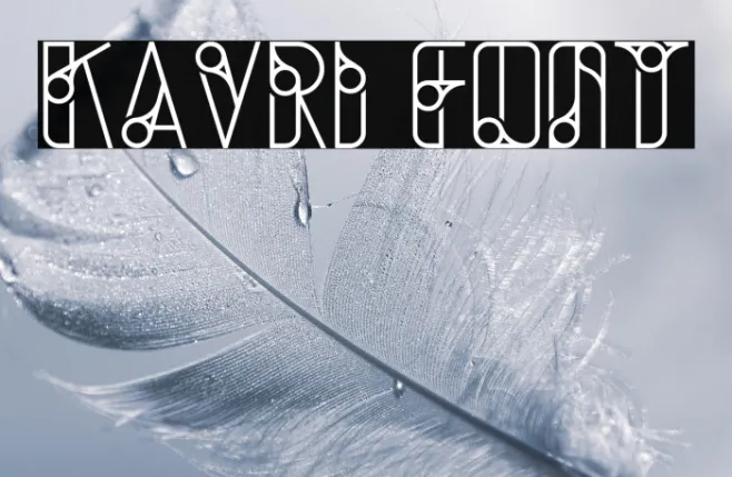 Kavri Example 2