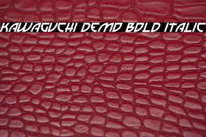 Kawaguchi Demo Bold Italic Example 1