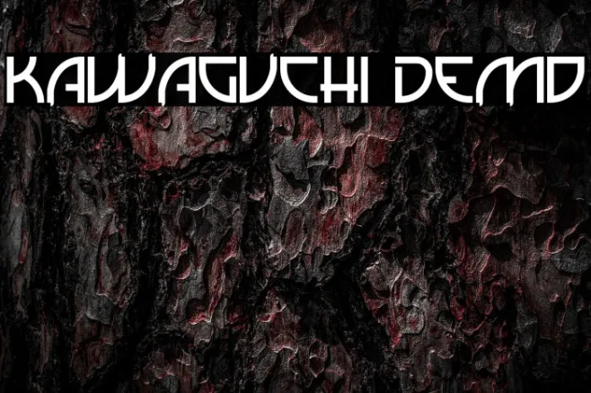 Kawaguchi Demo Example 1