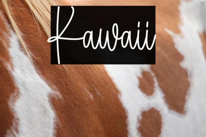 Kawaii Example 3