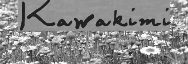 Kawakimi Font examples