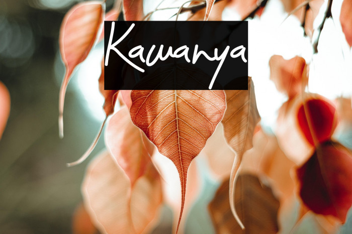 Kawanya Example 3