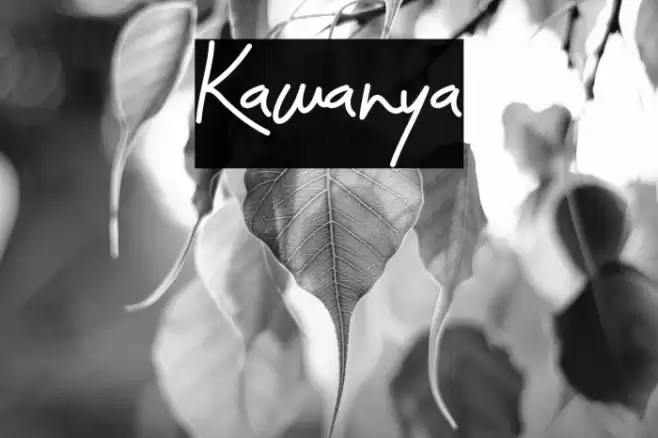 Kawanya Font examples