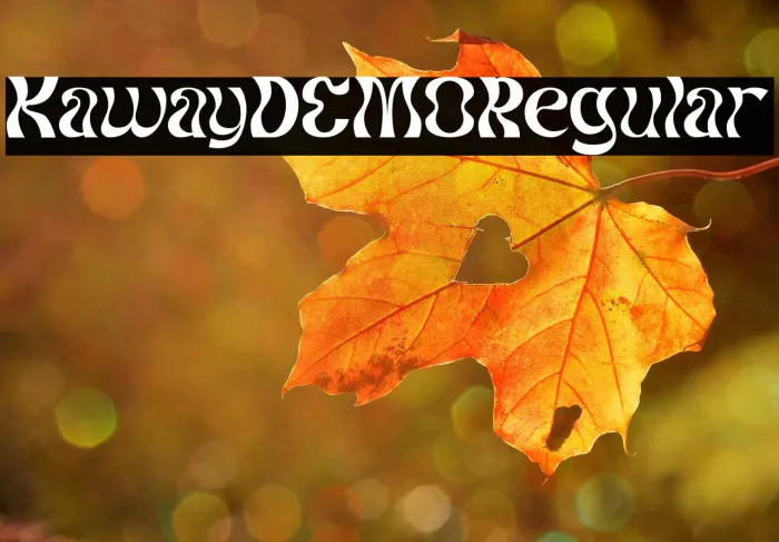 Kaway DEMO Regular Example 3