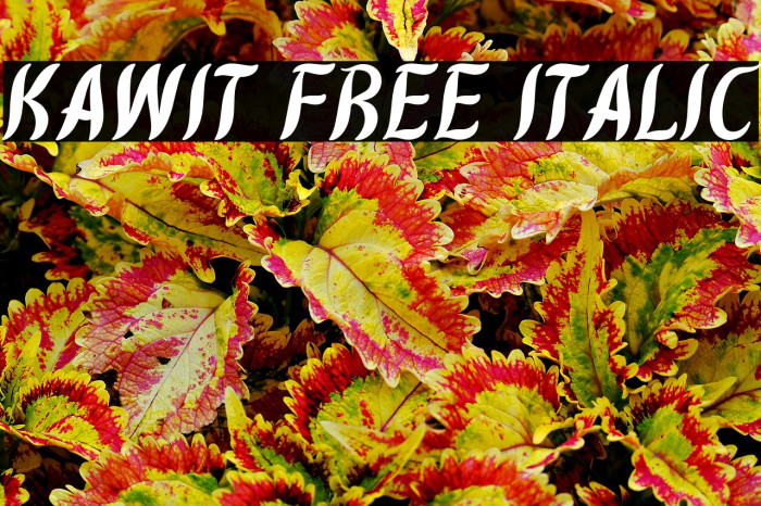 Kawit Free Italic Example 2