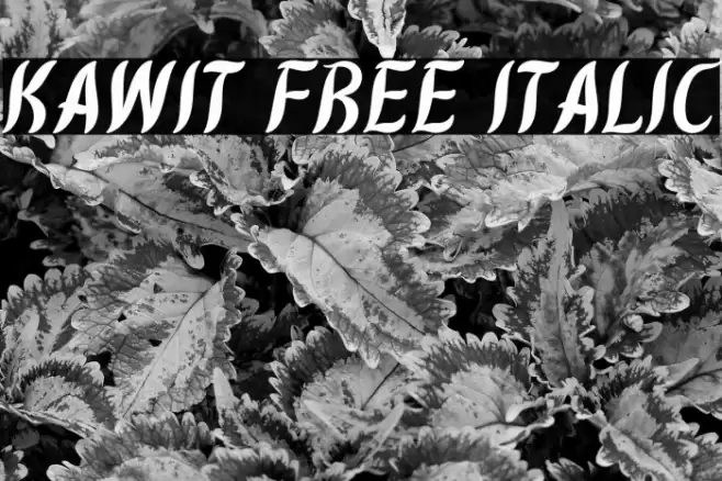 Kawit Free Italic Font examples