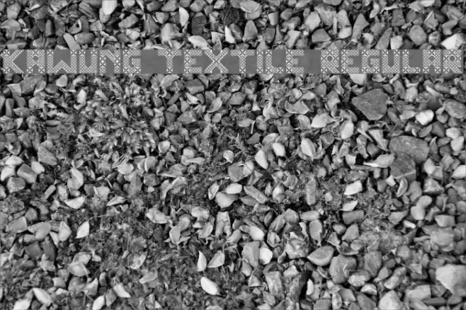 Kawung Textile Regular Font examples