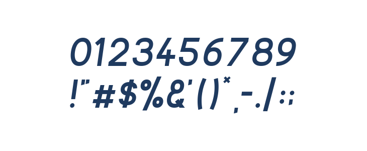Kayak Sans Bold Italic Other Characters
