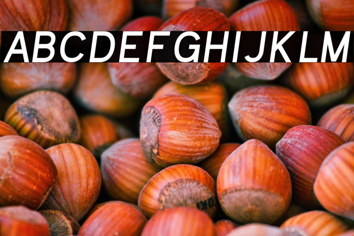 Kayak Sans Bold Italic Example 3