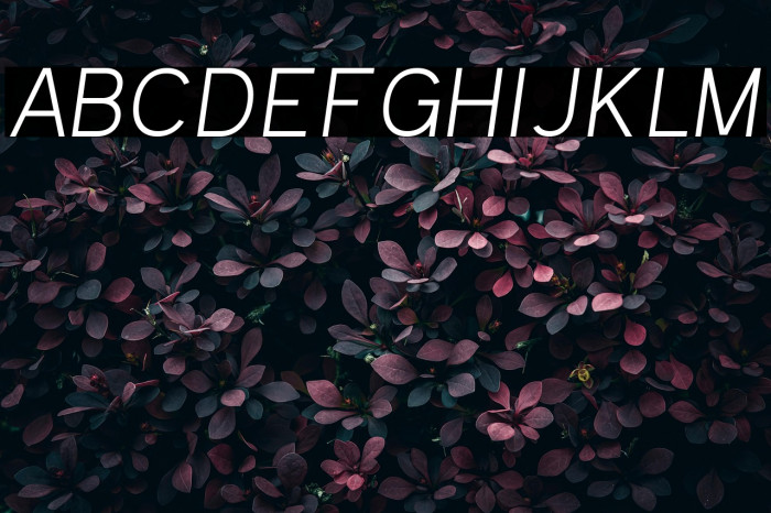 Kayak Sans Light Italic Example 3