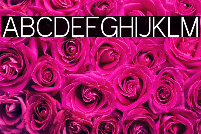 Kayak Sans Light Example 1