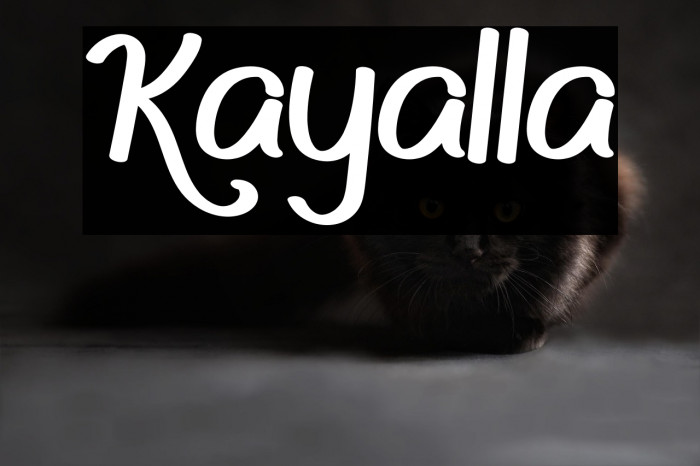 Kayalla Example 1