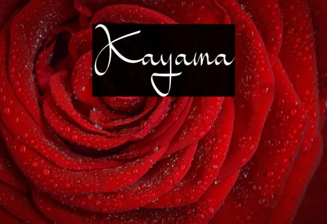 Kayama Example 1