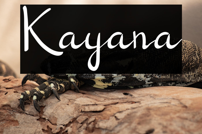 Kayana Example 2
