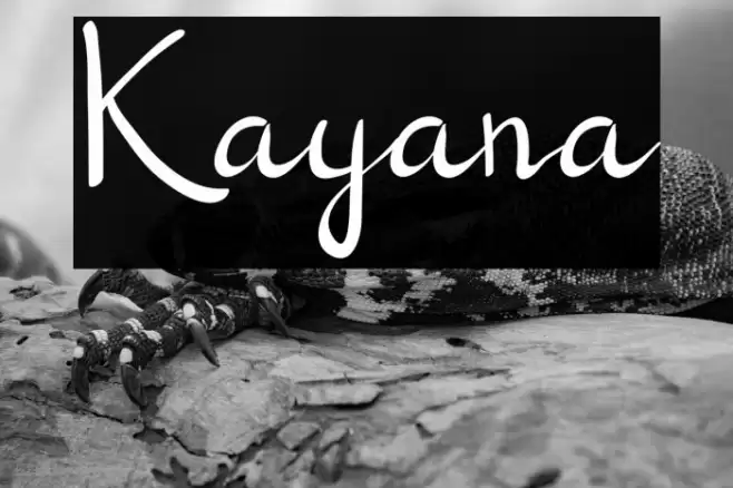 Kayana Font examples