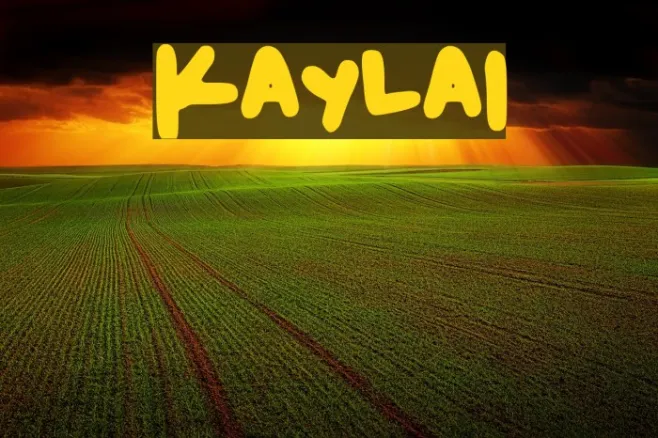 Kayla1 Example 3