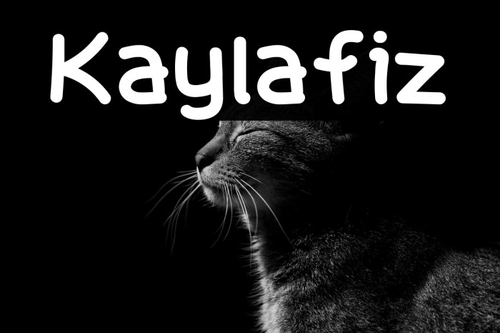 Kaylafiz Example 1