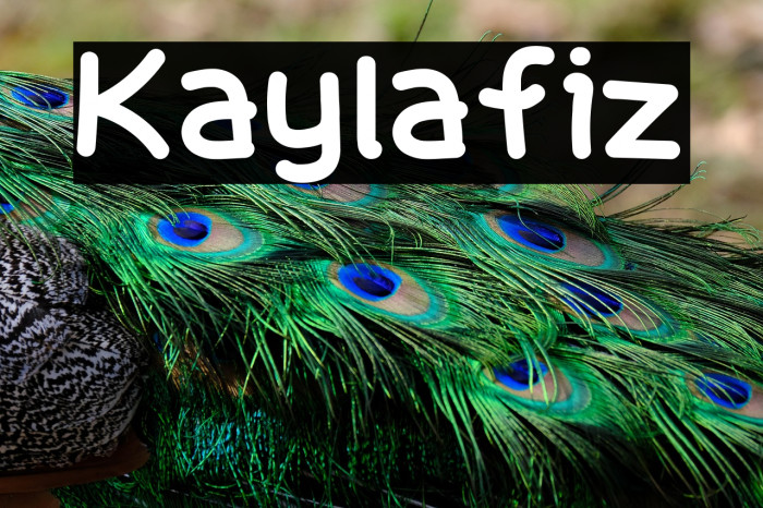 Kaylafiz Example 2