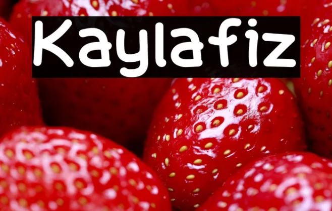 Kaylafiz Example 3