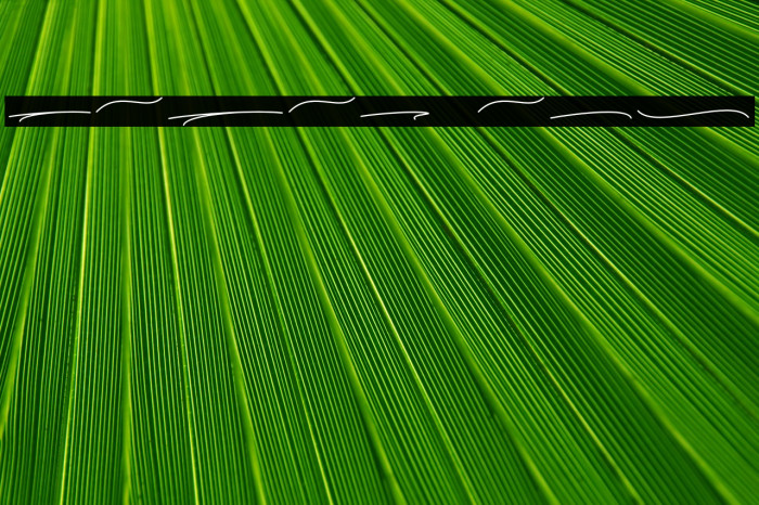 Kaylari Swashes Example 1