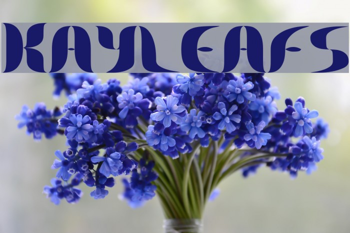 Kayleafs Font examples
