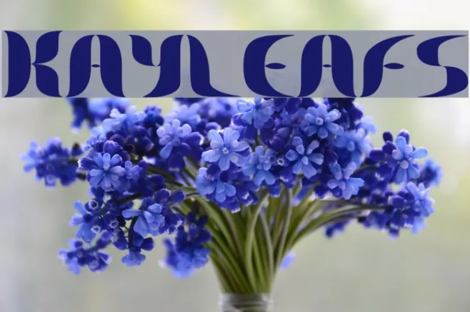 Kayleafs Example 3