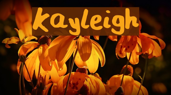 Kayleigh Font examples